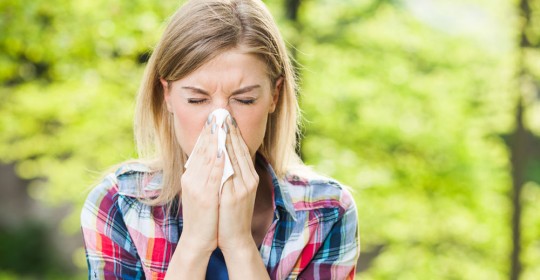 Alergias primaverales: qué son y cómo prevenirlas
