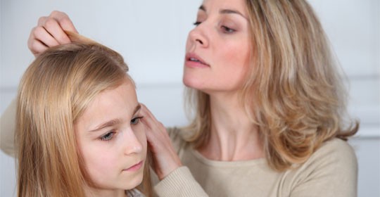 Productos para prevenir y tratar la aparición de piojos