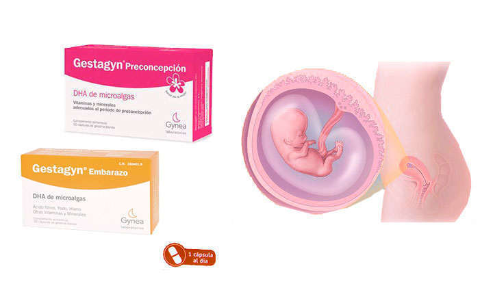 gestagyn-capsulas-para-embarazadas
