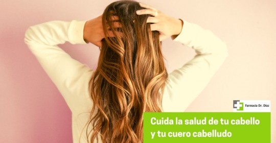 Cuida la salud de tu cabello y de tu cuero cabelludo